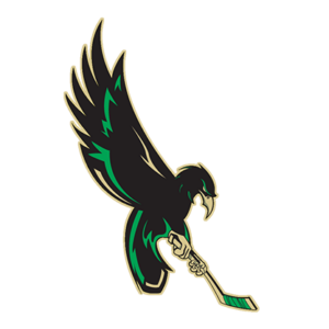 The Wilmington Nighthawks Youth Ice Hockey Club