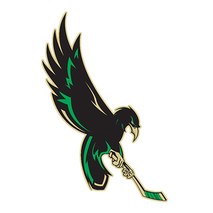 The Wilmington Nighthawks Youth Ice Hockey Club